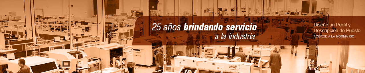 diseñe un perfil y descripción de puesto de acuerdo a la norma ISO